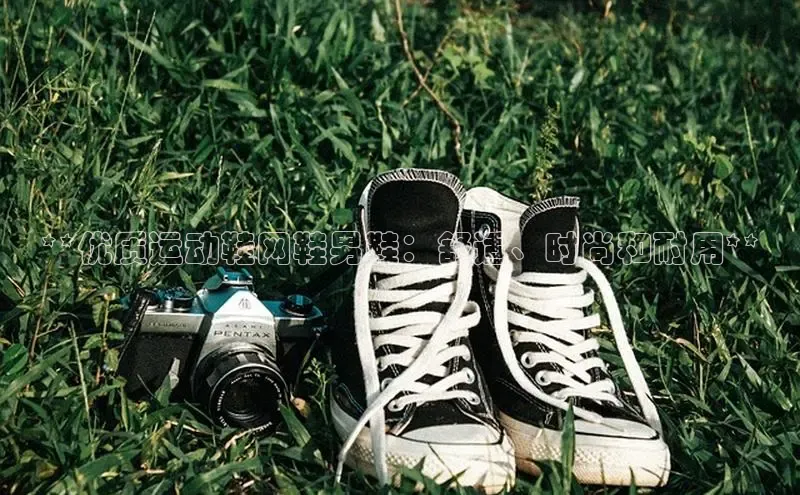 乐玩国际登录入口元隆雅图**优质运动鞋网鞋男鞋：舒适、时尚和耐用**