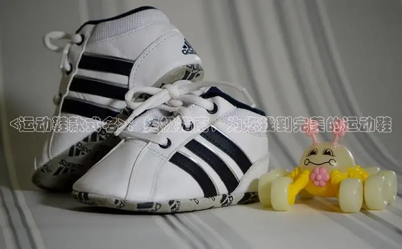 乐玩lewin官网入口遥望科技<运动鞋款式名>：终极指南，为您找到完美的运动鞋