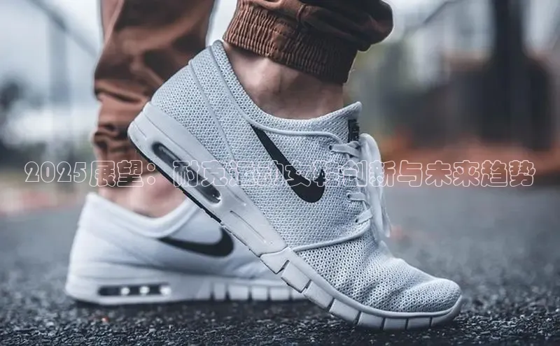 乐玩lehu唯一官网百度营销中心2025展望：耐克运动女鞋创新与未来趋势