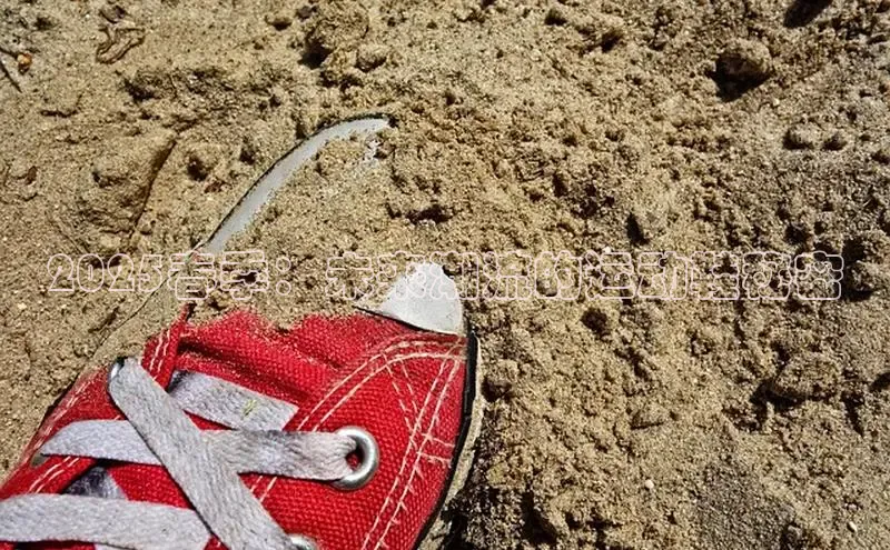 乐玩lewin官网入口度小满理财2025春季：未来潮流的运动鞋秘密