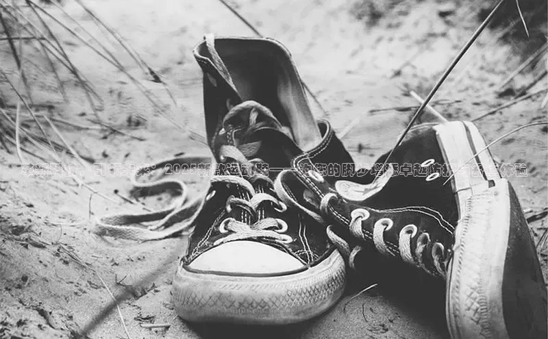 乐玩app官网入口