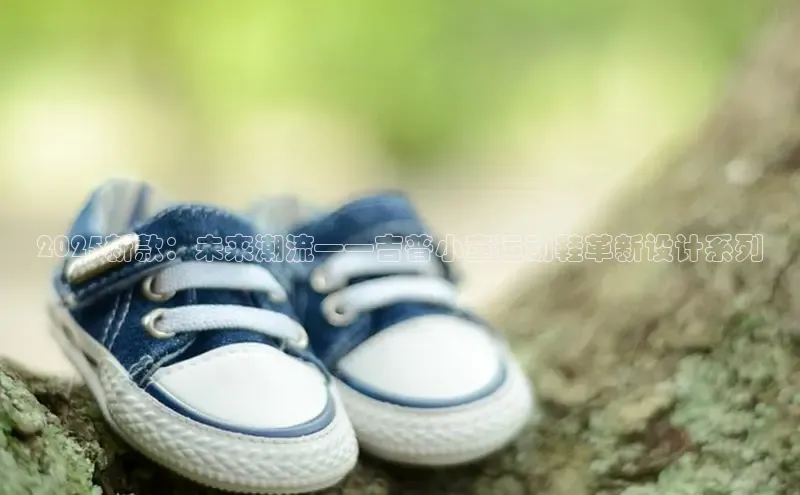 乐玩app官网入口