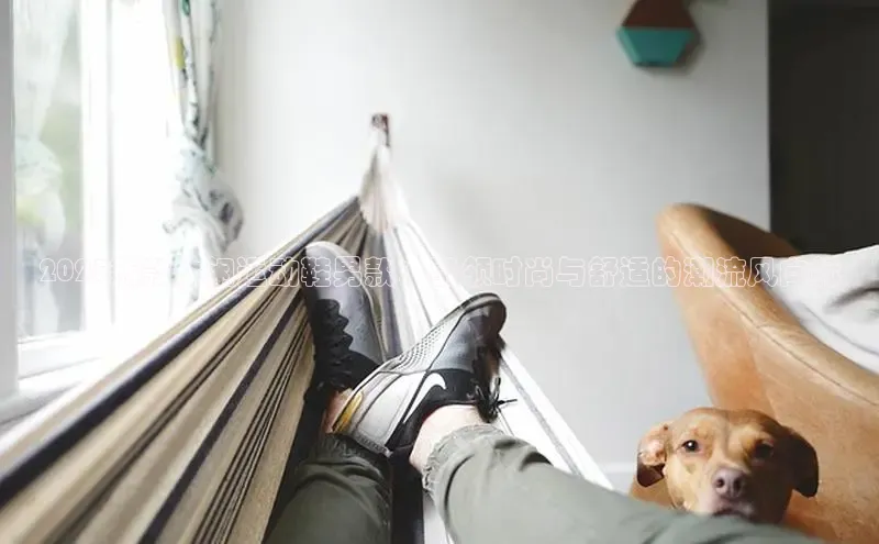 乐玩国际官方唯一入口网站